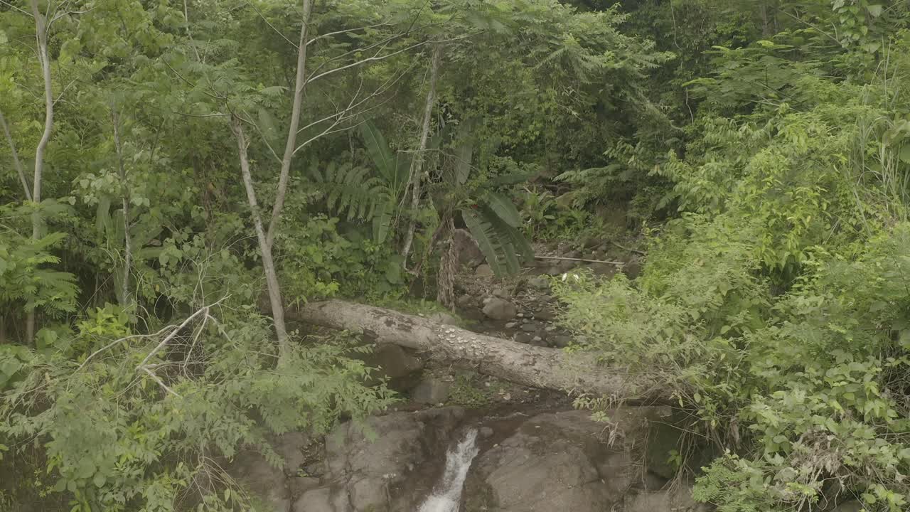 catarata lumondo en lo profundo de la selva filipina de alegria, surigao del norte filipinas
