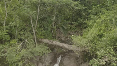 Lumondo-waterfall-deep-in-the-Philippine-jungle-of-Alegria,-Surigao-Del-Norte-Philippines