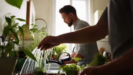 man watering houseplants in a kitchen sink