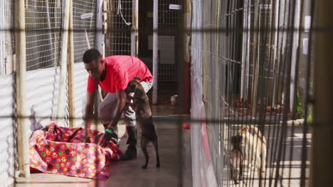 african american volunteer man in a dog shelter with a puppy