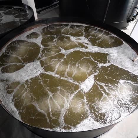 farm of growing shrimps. aeration of water in a big container on shrimp farm indoors.