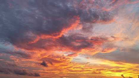 fotografía estática de una puesta de sol dorada y rosada