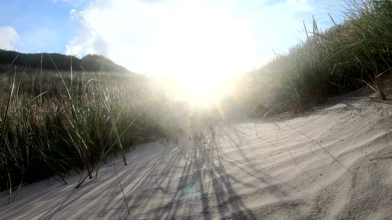 dunas de arena con hierba de dunas en la tormenta del mar del norte, dunas de senderismo, protección de diques, sondervig, jutlandia, dinamarca, 4k