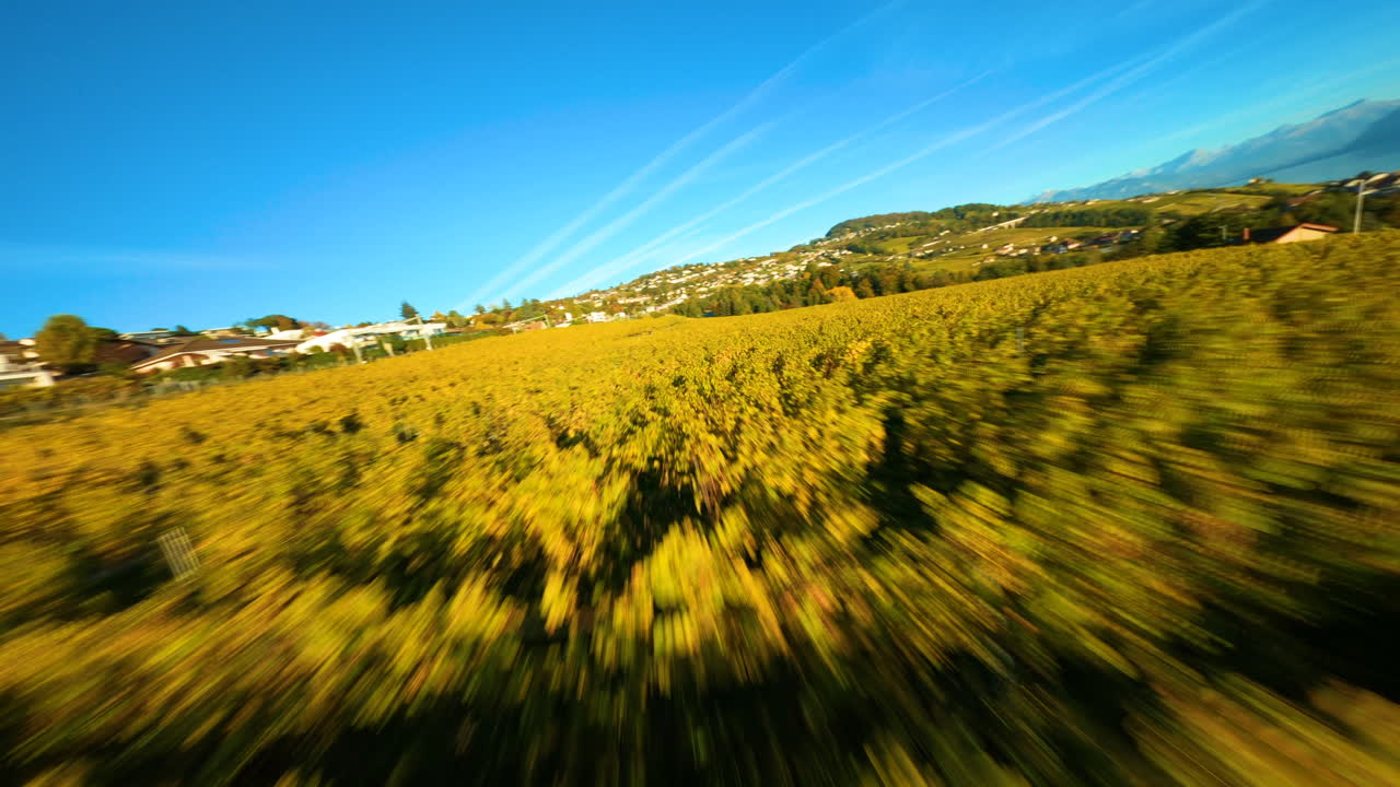 antena baja hacia el brillante paisaje otoñal en el viñedo de lavaux cerca de la ciudad de lutry en suiza