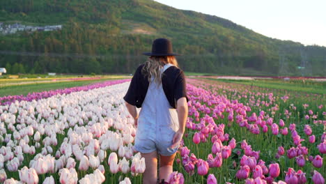 Frau-Zu-Fuß-Durch-Tulpenfeld-Mit-Großem-Hut-Bei-Sonnenaufgang-In-Schönem-Licht-In-Abbotsford,-British-Columbia,-Kanada