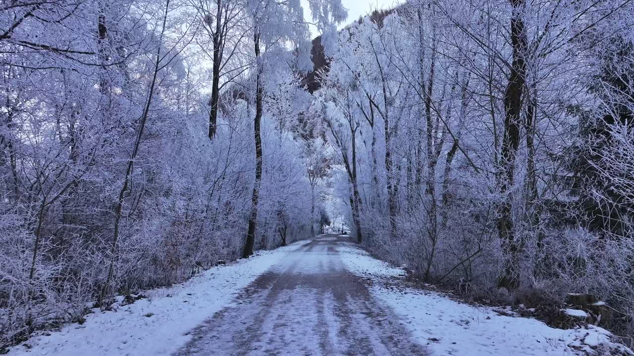 Breathtaking winter view in Walensee, Switzerland, picturesque snow-covered road lined with frosty trees.