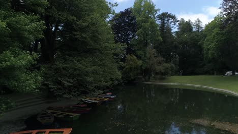green city park in summer sunny morning