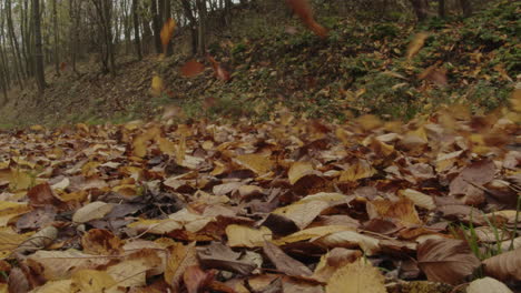 Fast-car-driving-on-country-road-covered-with-autumn-leaves,-side-low-angle-close-up-view