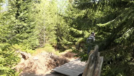woman walking on the adventure trail lothar path in the black forest
