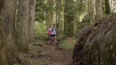 hombres y mujeres atletas felices corriendo por un sendero en el bosque