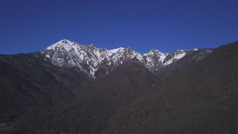 cordillera nevada con bosque