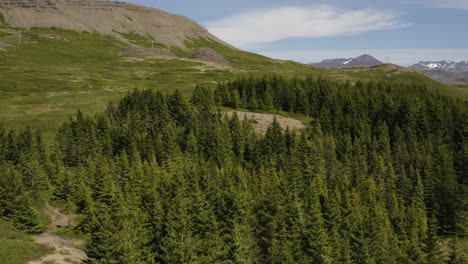 beautiful nature forest landscape on iceland mountain in summertime, aerial