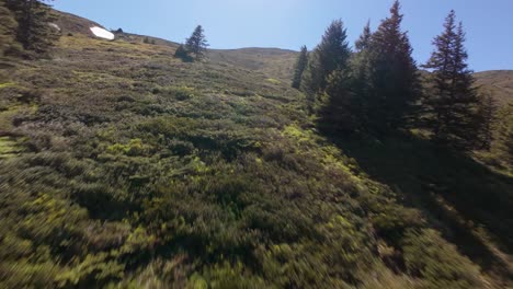 aerial flyover of green alpine hills and pine trees in brambrüesch, switzerland