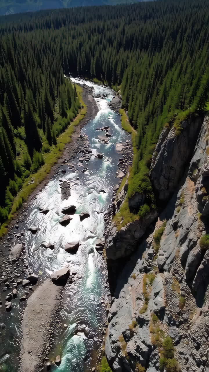 Mountain River in a Lush Forest