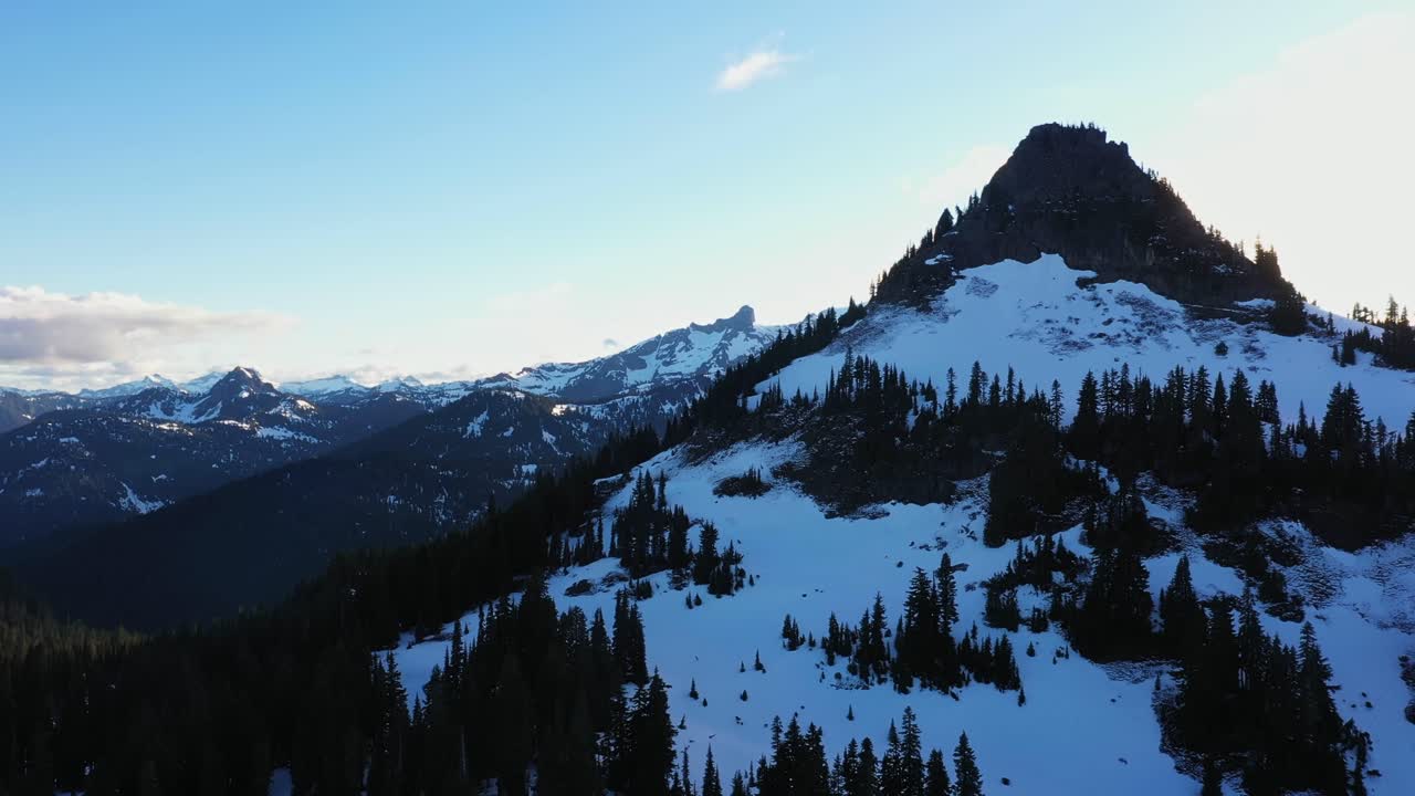 Snow-Covered Mountain Peak with Pine Trees