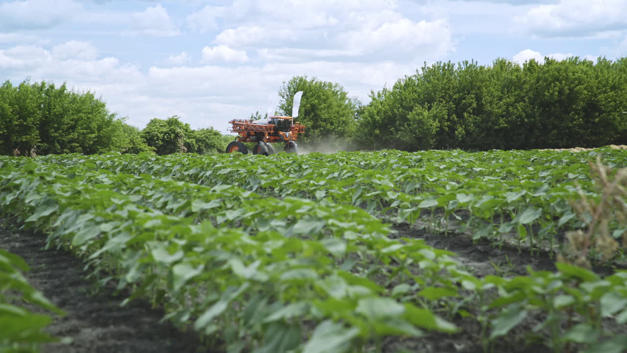 Macchina irroratrice su campo agricolo per l'irrigazione delle piante. Fertilizzante agricolo.