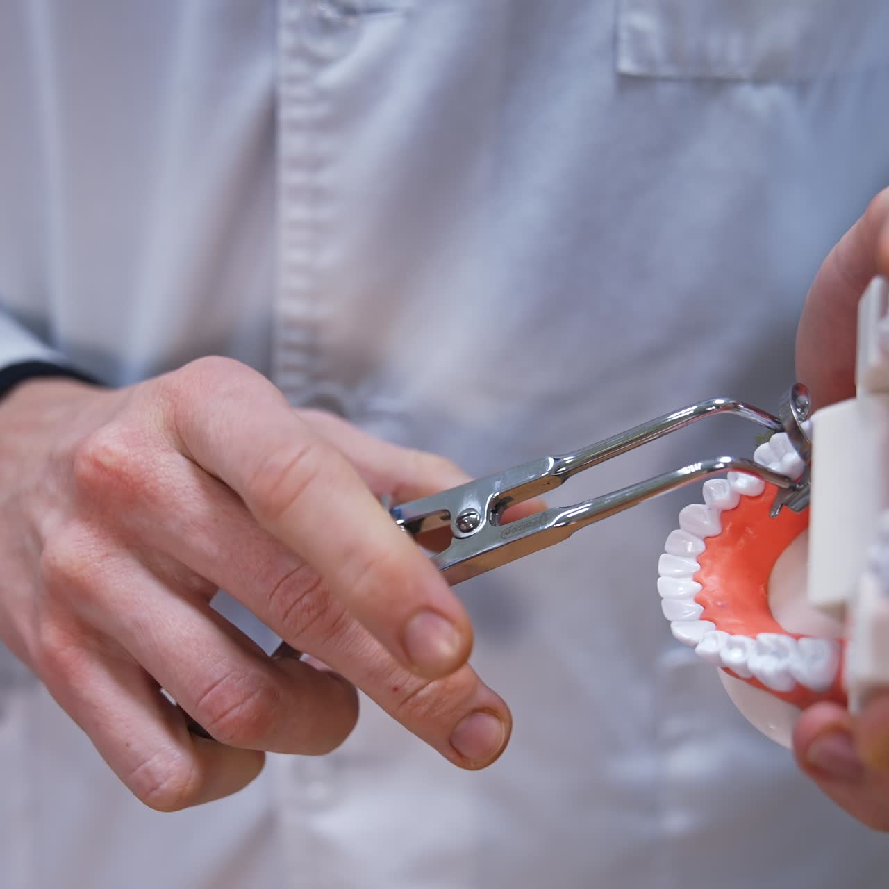 Professional teeth healthcare treatment. Dentistry hospital healthcare