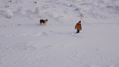 little boy walking dog in snow, winter season, cold weather