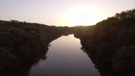 aerial - protected stream flows during golden hour