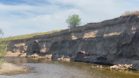 active colony of swallows on the river bank