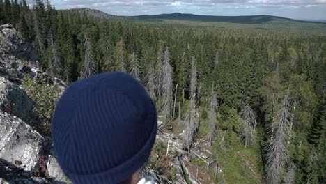 mountain viewpoint with damaged forest