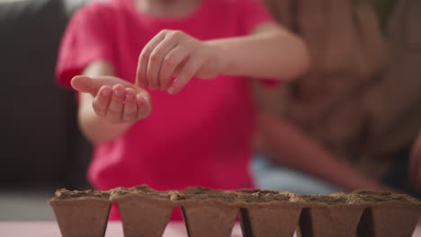 little child inserts seeds in dirt in seedling tray at home