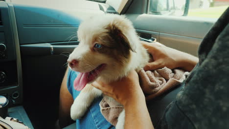 a man with a puppy in his arms travels in a car