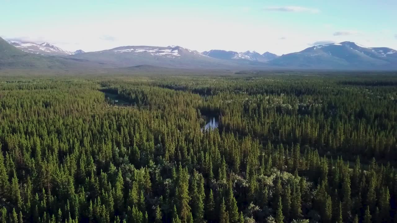 Impresionante vuelo panorámico rural sobre el río Yukón Takhini, junto a un frondoso bosque de árboles verdes con una cordillera de fondo en un día soleado, Canadá, toma aérea de retroceso.