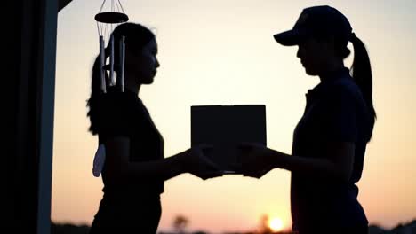 a serene moment at sunset: two silhouettes against the sky with a wind chime symbolizing tranquility and connection