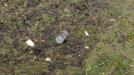 Plastic-drink-container-and-other-garbage-floating-in-stagnant,-polluted-water