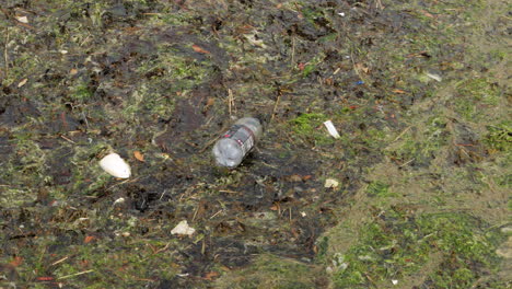 Recipiente-De-Plástico-Para-Bebidas-Y-Otra-Basura-Flotando-En-Agua-Estancada-Y-Contaminada