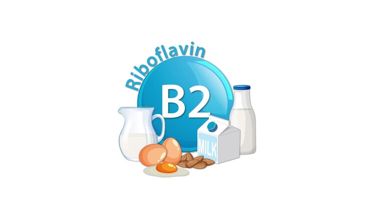 Un'icona blu della Vitamina B2 transita fluidamente per rivelare alimenti ricchi di riboflavina come latte, uova e latticini, utilizzando grafica vettoriale pulita e movimento minimo.