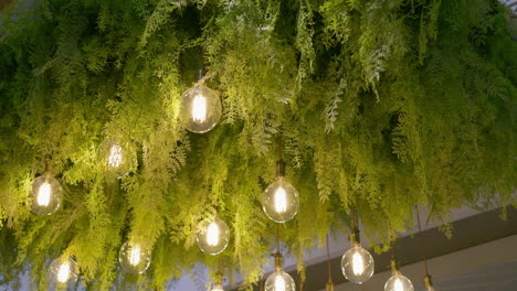 decorative incandescent light bulbs used as lighting fixtures and some green spruce serve as ornaments to beautify the ceiling of a hall in bangkok, thailand