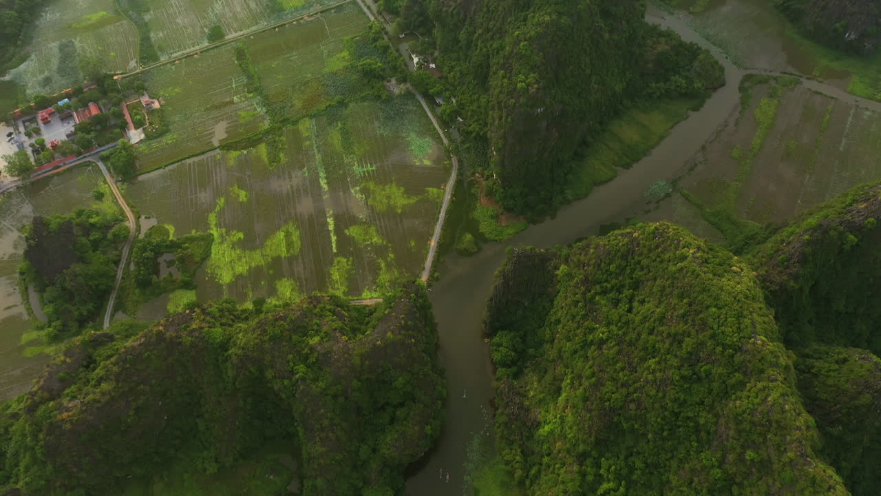 이 아름다움은 귀중합니다.