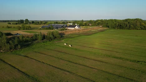 Aerial-shot-of-beautiful-farmland-of-heathland-national-park-in-the-month-of-September