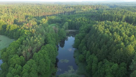 El-Dron-Se-Eleva-Sobre-El-Lago-Iluminado-Por-El-Amanecer-En-Europa,-Revelando-Una-Laguna-Tranquila,-Un-Bosque-Exuberante-Y-Un-Estanque-Sereno.