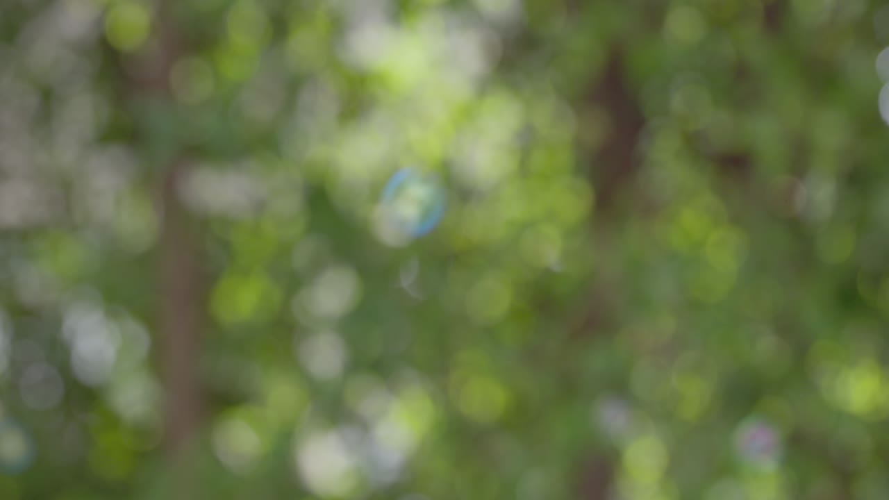 초록색 나무 배경으로 공중에서 날아다니는 4k 슬로 모션 비누 거품.