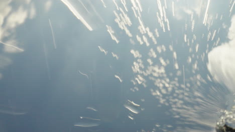 water sprinkler spraying