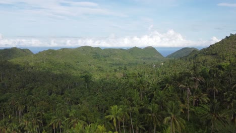 Las-Montañas-Filipinas,-Las-Palmeras-Y-El-Océano-Al-Fondo-Crean-Una-Vista-Espectacular.