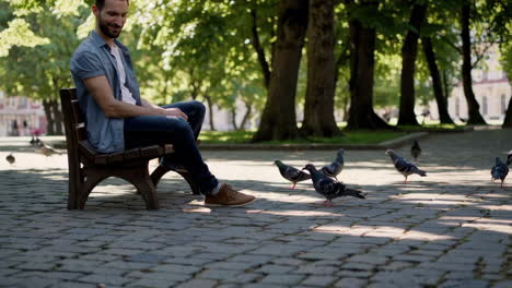 man sitting on a bench in a park with pigeons