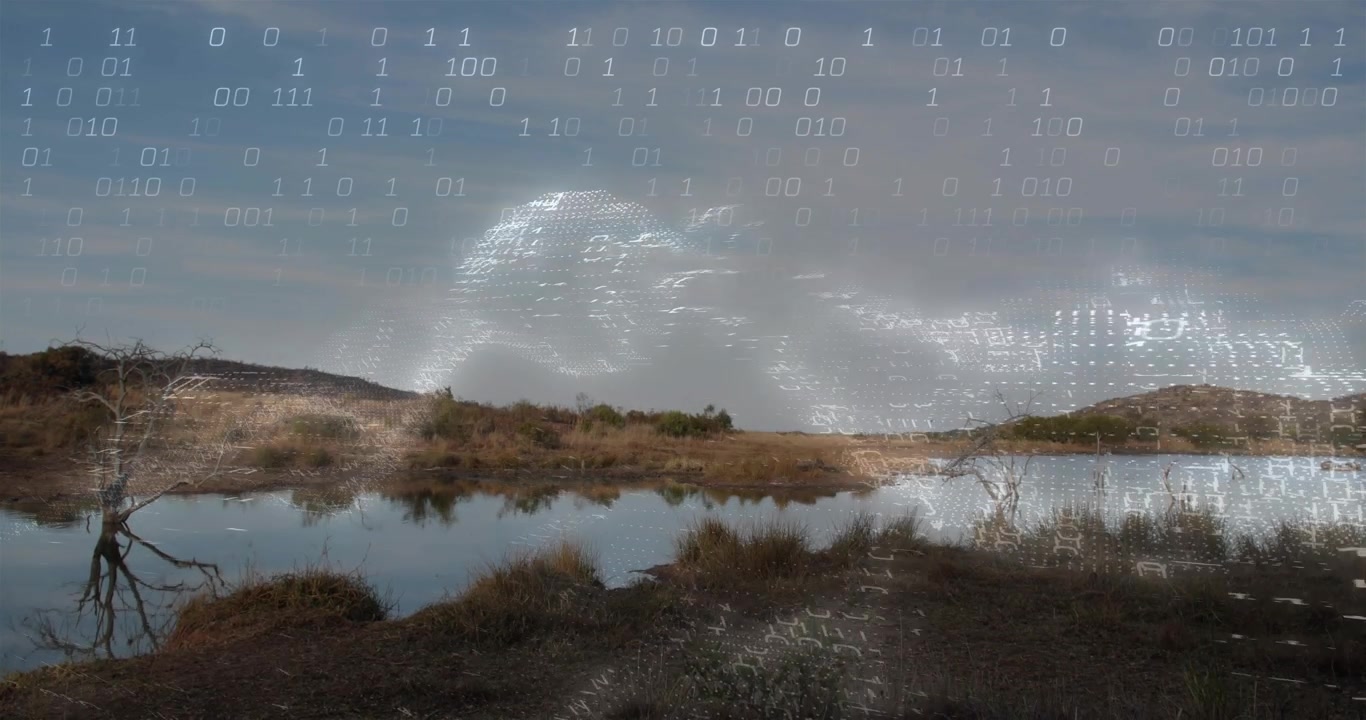 Pond and marsh displaying binary grid emerging from sky, expanding and reflecting, showing tech