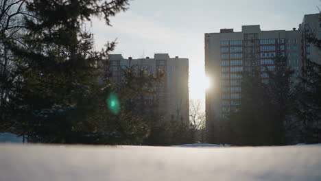 bright sunlight creates green lens flare as it glows between distant residential buildings, casting soft light over snow covered ground with pine trees framing scene during peaceful winter morning