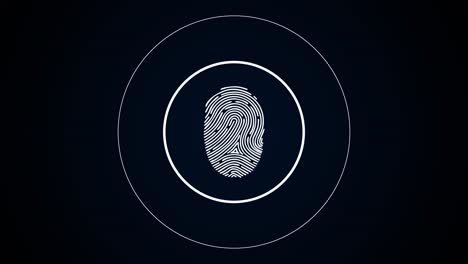 fingerprint image