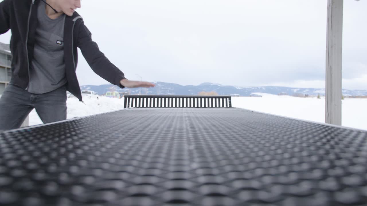 주인에게 뛰어드는 오스트레일리언 셰퍼드