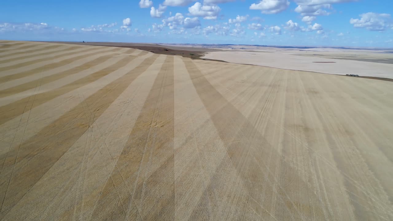 vista aérea del campo 4k