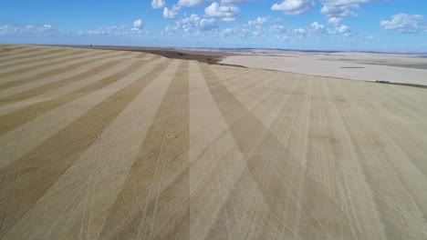 Aerial-view-of-field-4k