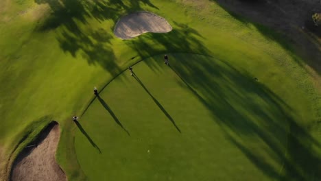 two diverse male golf players playing golf at golf course on sunny day