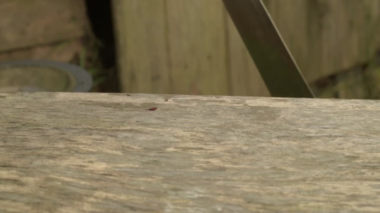 Blood stained hand with blood stained knife