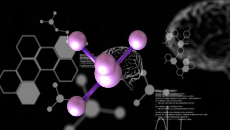 Animation-Eines-Makros-Von-Molekülen-Und-Gehirnen,-Datenverarbeitung-Auf-Schwarzem-Hintergrund