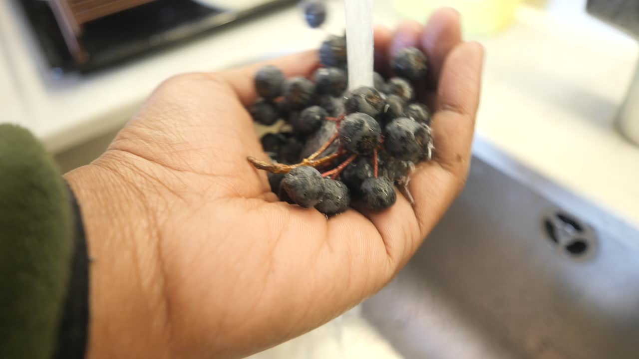 Washing Chokeberries in the Kitchen